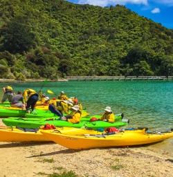 Beached kayaks at Ngakuta Bay