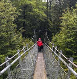Bridge crossing on Routeburn track