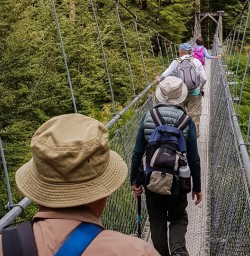 Brdge at Routeburn track Otago New Zealand
