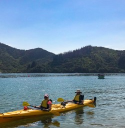 Calm day kayaking in Queen Charlotte Sound