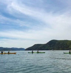 Calm paddle to Picton