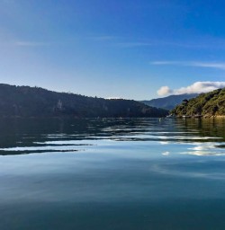 Calm waters Queen Charlotte Sound