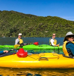 Calm waters Queen Charlotte Sound