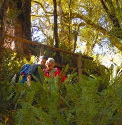 On the Hollyford Track