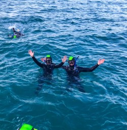 Dolphin swim Kaikoura