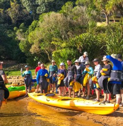 Group kayak Lochmara Lodge