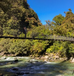 Guest on the bridge at Hollyford track, Fiordland New Zealand