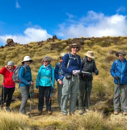 Guests hiking Kepler Track
