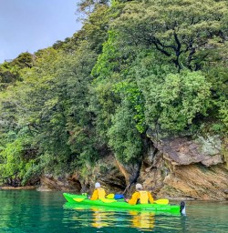 Guests spot wildlife in Queen Charlotte Sound