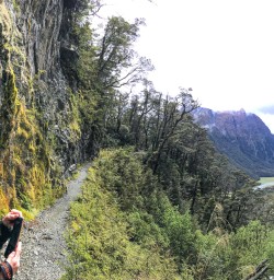 Guests taking photos on Routeburn track