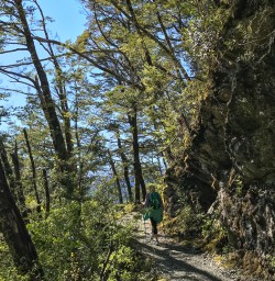 Hiking to Routeburn Flats