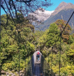 Hollyford Track bridge, Fiordland New Zealand