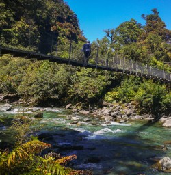Hollyford Track bridge, Fiordland New Zealand