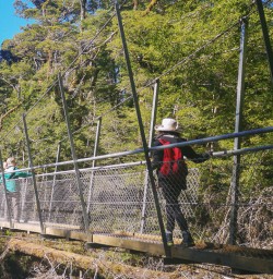 Passing bridge at Hollyford Track Fiordland New Zealand