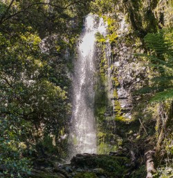 Hollyford Track falls, Fiordland New Zealand