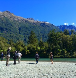 6 hollyford track river fiordland southland2