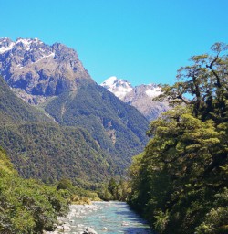 Hollyford river, Fiordland New Zealand