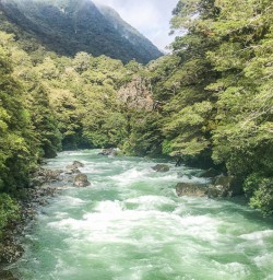 Hollyford Track river, Fiordland National Park Southland New Zealand