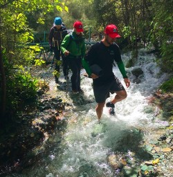 The Hollyford Track