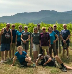 In the vines at Giesen vineyard