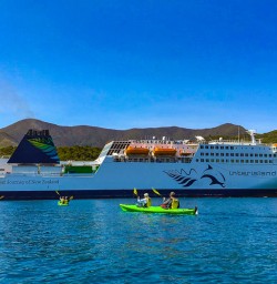 Interislander coming into Picton