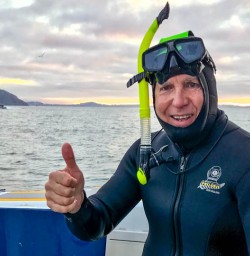 Kaikoura snorkelling