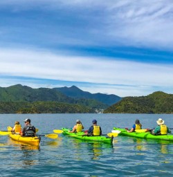 Kayak tour Lochmara