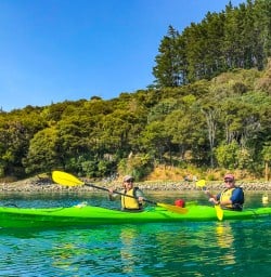 Kayaking from Lochmara