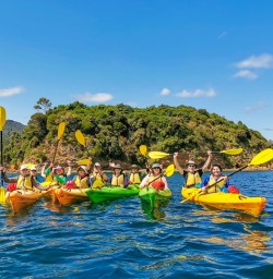 Kayaking group Lochmara
