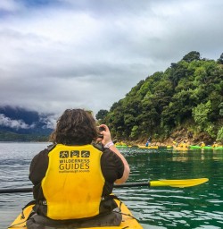Kayaking in Queen Charlotte Sound
