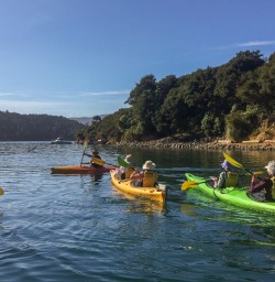 Kayaking at Marlborough Sounds, New Zealand