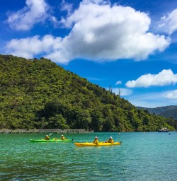 Kayaking Ngakuta Bay