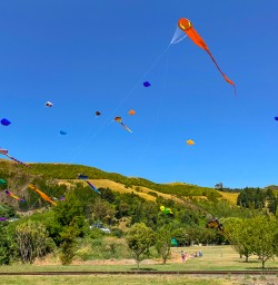 Kites flying Wairau Valley