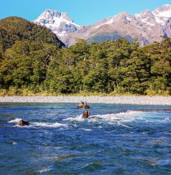 Lake Mckerrow, Fiordland New Zealand