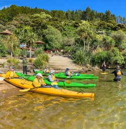 Launching kayaks at Lochmara