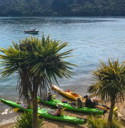 Launching kayaks from lochmara lodge