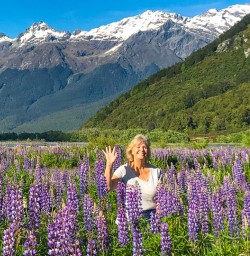 Lupins near Queenstown