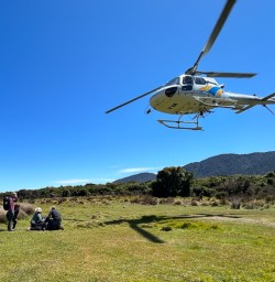 Milford helicopter flight