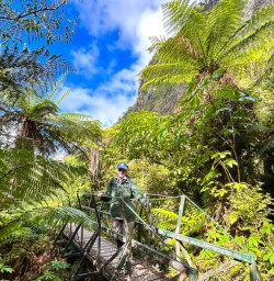 Milford track small group tour