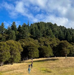 Multi day hike Nydia Track to Nydia Lodge