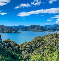 Overlooking Queen Charlotte Sound