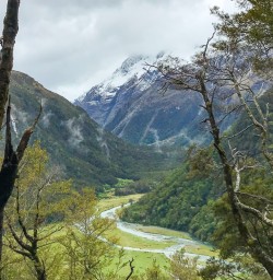 Overlooking valleys from Routeburn track