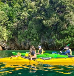 Paddle from Lochmara lodge