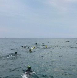 Paddling out to the dolphins