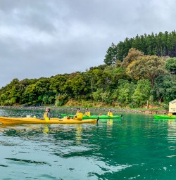 Paddling through Queen Charlotte Sound