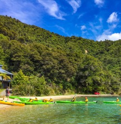 Paddling through Picton bays