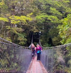 Paparoa national park hike