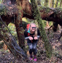 Paparoa National Park hiking tour