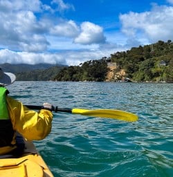 Queen Charlotte Sound kayaking tour adventure