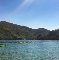 Queen Charlotte Sound New Zealand